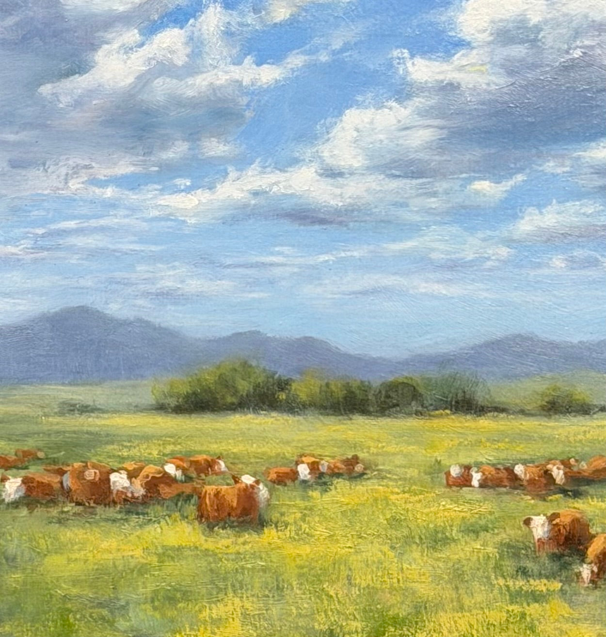 Under the Summer Sky