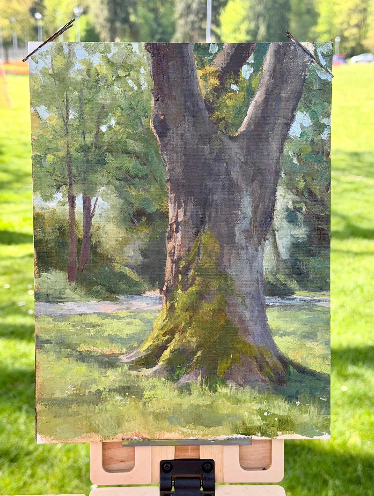 Mossy Maple Print
