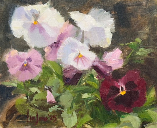 Lavender Pansies