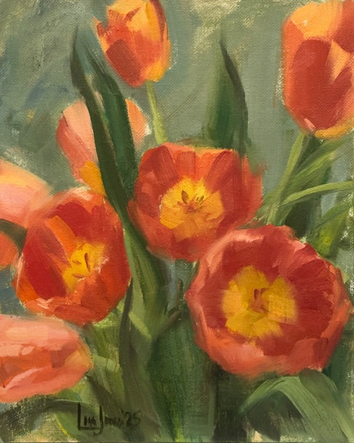 Open Orange Tulips